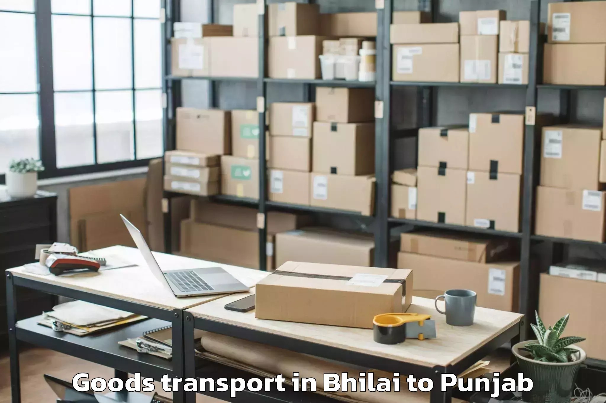 Reliable Bhilai to Zira Goods Transport